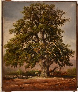 Die alte Eiche von Jacques Raymond Brascassat