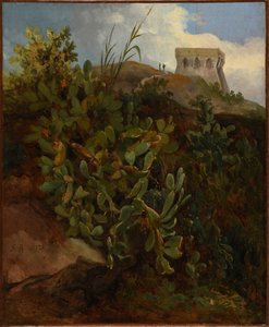 Turm und Kaktus