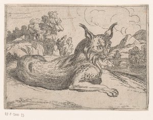 Luchs
