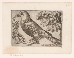Vogel von Jacques de Fornazeris (possibly)
