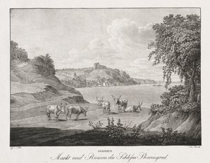 Syrmien, Markt und Ruinen des Schlosses Sharengrad von Jakob Alt