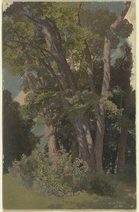 Parkstudie, Lichtung von Jakob Becker