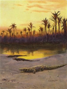 Krokodil (Sonnenuntergang) am Ufer des oberen Nils (Farblithografie)