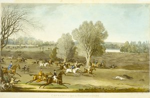 Hasenjagd - Eine Ansicht des Hatfield Parks, graviert von James Pollard von James (after) Pollard