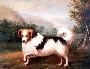 Ein Phallene-Papillon in einer Hochlandlandschaft von James (attr. to) Barenger