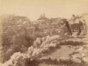 Capri [Kind auf Maultier] von James Anderson