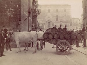 Wagen mit Ochsen, Perugia, 1880er Jahre