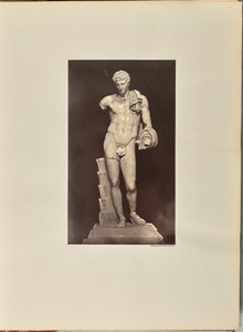Der Antinoos des Belvedere. Vatikan