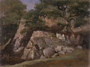 Blick auf das Tal der Felsen bei Mittlach (Elsass) von James Arthur OConnor