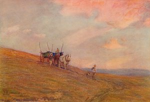 Auf den Downs in der Nähe von Harting, um 1870-1906, 1906 von James Aumonier