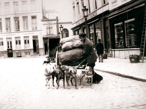 Mann mit Hundekarren, Antwerpen, 1898