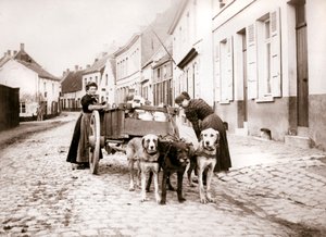 Frauen und Hundekarren, Antwerpen, 1898