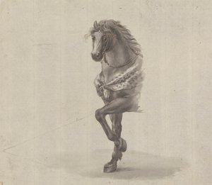 Studie der Vorderseite eines Pferdes von James Bruce