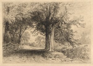 Ein Bauernweg, Jan. 1887, Opus 2 von James David Smillie