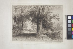 Landschaft