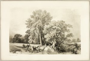 Esche und Eiche, aus Der Park und der Wald