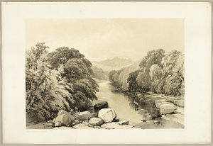 Esche, Ahorn und Eiche, aus Der Park und der Wald
