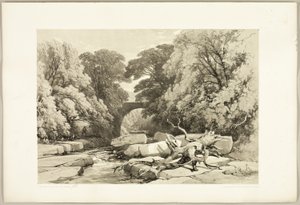 Esche und Erle an der Greta, aus Der Park und der Wald von James Duffield Harding
