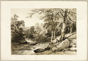 Buche und Esche an der Greta, aus Der Park und der Wald