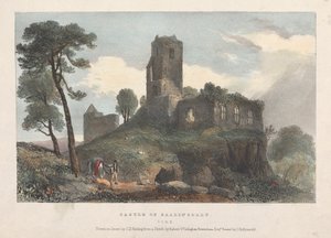 Schloss Ballincolly von James Duffield Harding