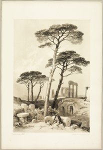 Steinkiefern, aus Der Park und der Wald von James Duffield Harding