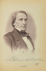Elihu B. Washburne von James Earle McClees