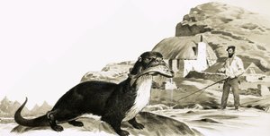 Otter mit Fisch und Mann beim Angeln