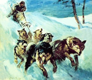 Der kanadische Husky von James Edwin McConnell
