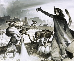 Der Aufstieg und Fall von Karthago: Der römische Fluch auf Karthago von James Edwin McConnell