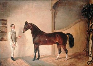 Pferdeknecht mit Jäger auf dem Tredegar-Anwesen, Monmouthshire von James Flewitt Mullock