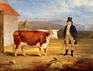 Mr. James Hodges und seine zweijährige Hereford-Färse, ca. 1843