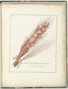 Geißel der Provisorischen Vertreter des Volkes von Holland, 1795 (Serie)