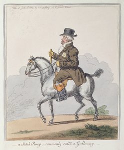 Ein schottisches Pony, allgemein Galloway genannt, veröffentlicht von Hannah Humphrey im Jahr 1803 von James Gillray