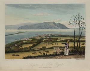 Kingston und Port Royale von James Hakewill