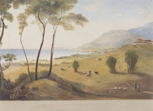 Lyssons Estate, St. Thomas im Osten, Jamaika