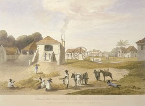 Mühlenhof, Holland Estate, St. Thomas im Osten