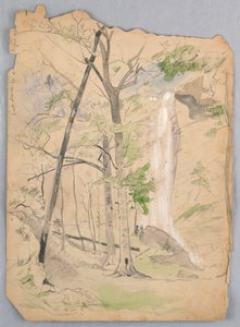 Wasserfall von James Henry Moser