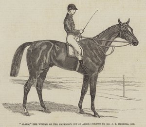 Alarm, der Gewinner des Kaiserpokals in Ascot von James Herring