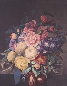 Stockrosen und Rosen