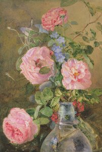 Rosen, Winden und Rittersporn