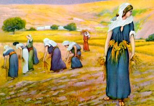 Ruth sammelt Korn auf dem Feld, aus 