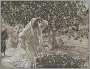 Der verfluchte Feigenbaum, Illustration aus Das Leben unseres Herrn Jesus Christus, 1886-94