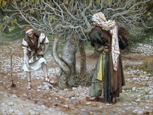 Der unfruchtbare Feigenbaum, Illustration für Das Leben Christi von James Jacques Joseph Tissot