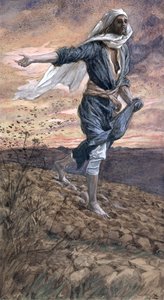 Der Sämann, Illustration für Das Leben Christi von James Jacques Joseph Tissot