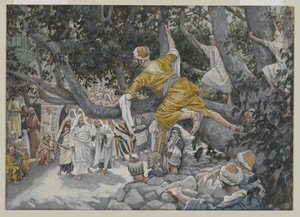 Zachäus im Maulbeerbaum erwartet die Passage Jesu, Illustration aus Das Leben unseres Herrn Jesus Christus, 1886-96
