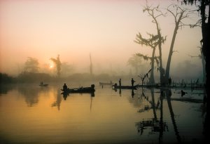 Oktobersonne vertreibt den Morgennebel über dem Alligator Bayou im Louisiana-Delta... von James L Stanfield
