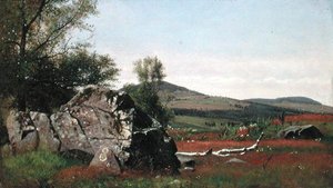 Sommer in den Catskills von James McDougal Hart
