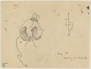 Schmetterling (recto); Fragment eines Schmetterlings (verso)