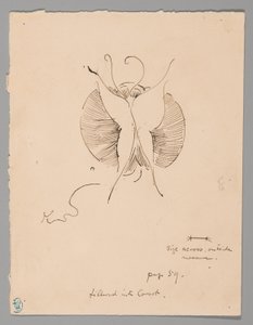Schmetterling (recto); Fragment eines Schmetterlings (verso)