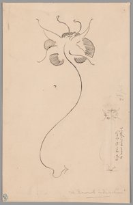 Schmetterling (recto); Studie eines Schmetterlings (verso) von James McNeill Whistler